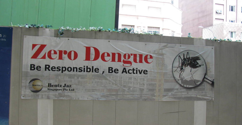 zero dengue