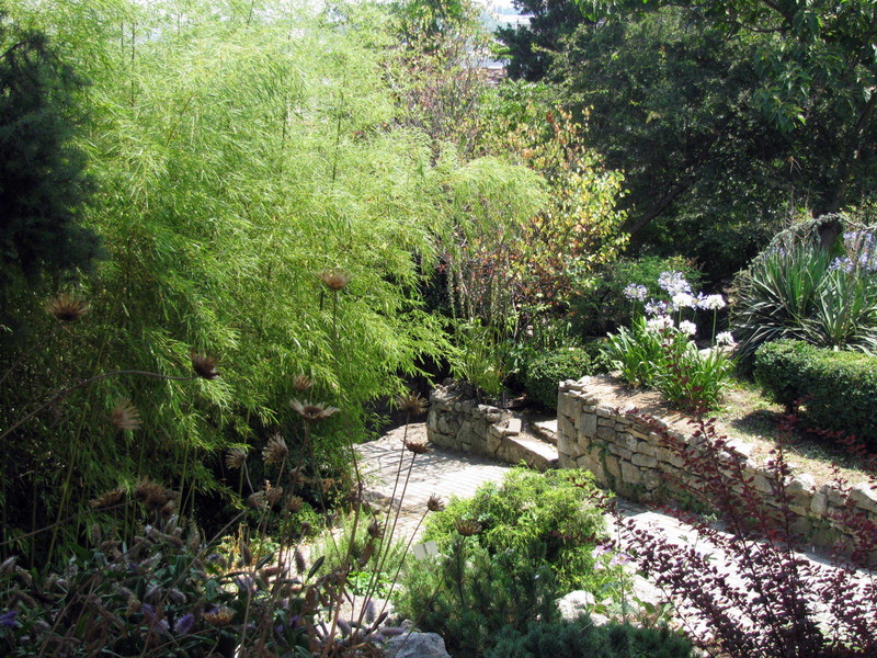 garden path inside the Botanic Gardens