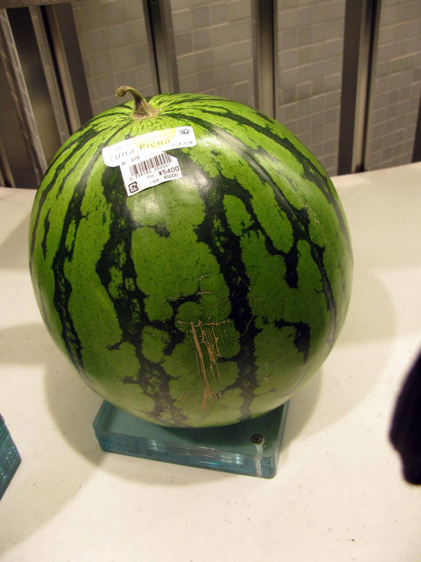watermelon - about $49 each