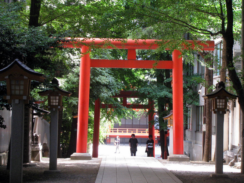 entrance torii gates