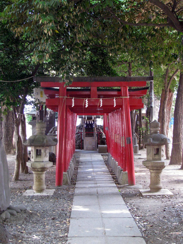 torii gates