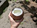 Fresh coconut water