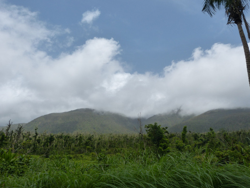 Dominica by car