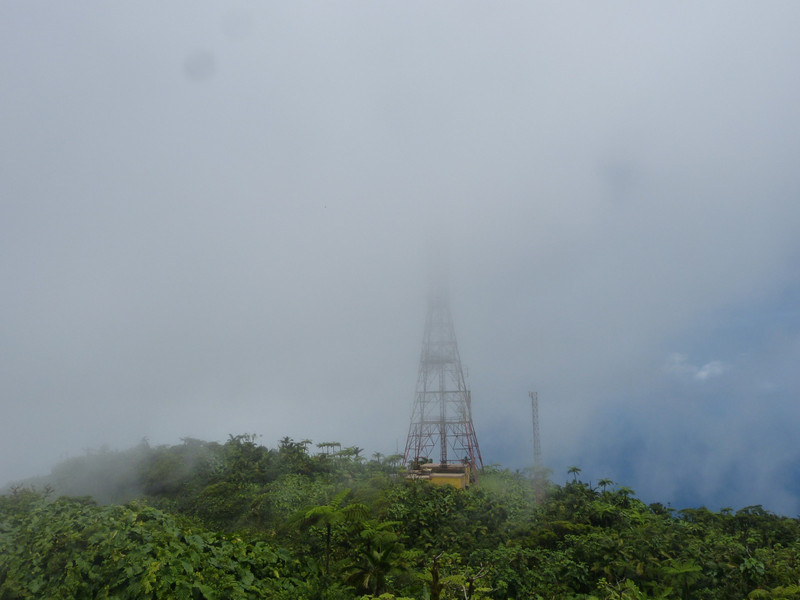 Cloud forest covers tower