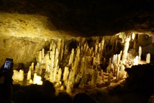 Harrison Cave