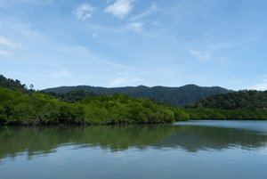 View from Sa-Lak-Phet Mangrove Forest