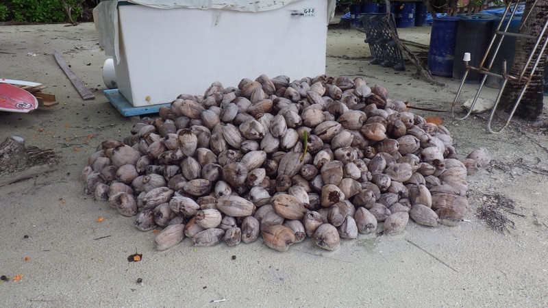 What do you even do with so many coconuts?