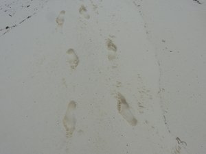 What is going on with my footprints?