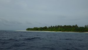 Shore from boat