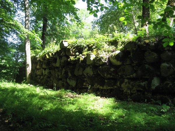 Ruin walls