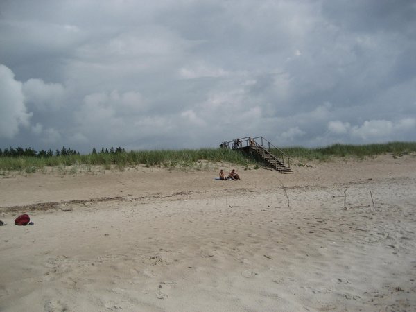 Beach and dune