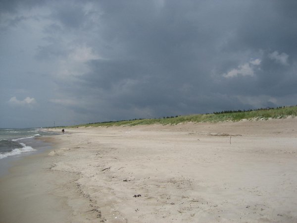 Beach and dune