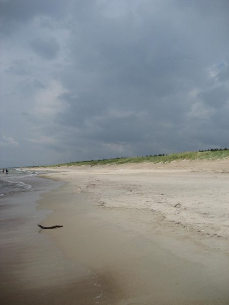 Beach and dune 