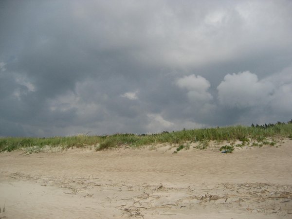 Beach and dune 