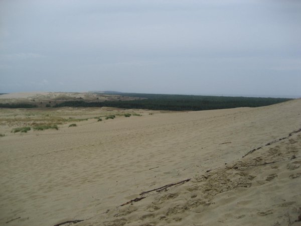 Big sand dune