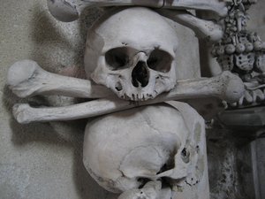 Bone sculpture
