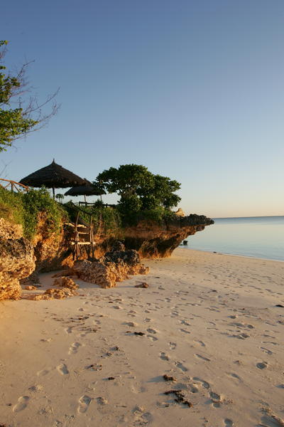 Lovely Beach on Zanzibar