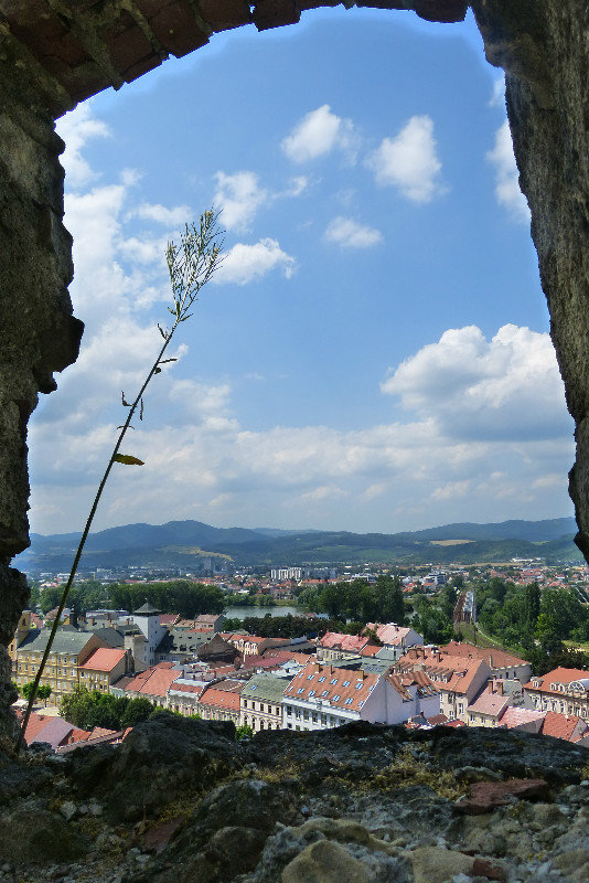 Town from castle