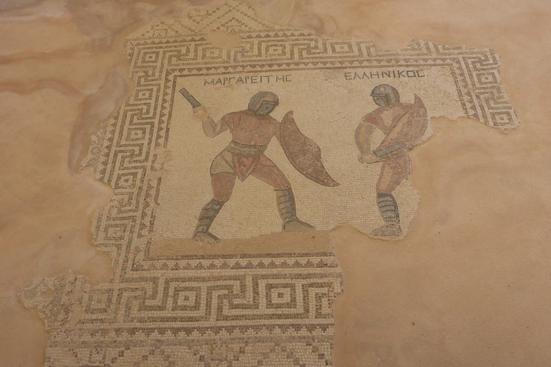 Mosaic in Gladiator house