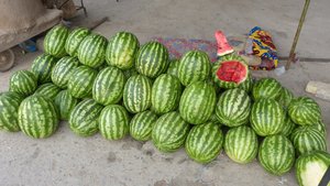 Melons, melons, everywhere