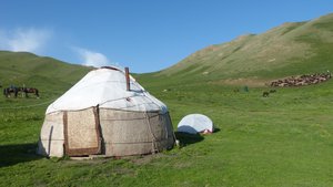 Morning yurt