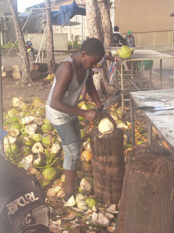 Cutting coconuts for drinking