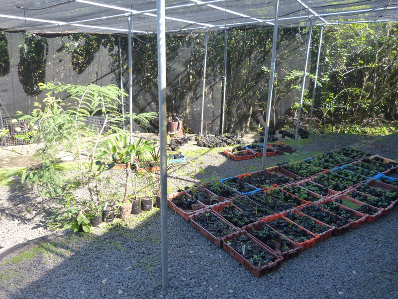 Plant nursery