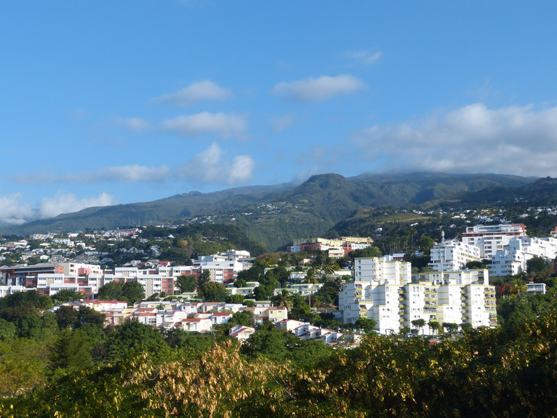 View of St. Denis from Parc de la Trinite