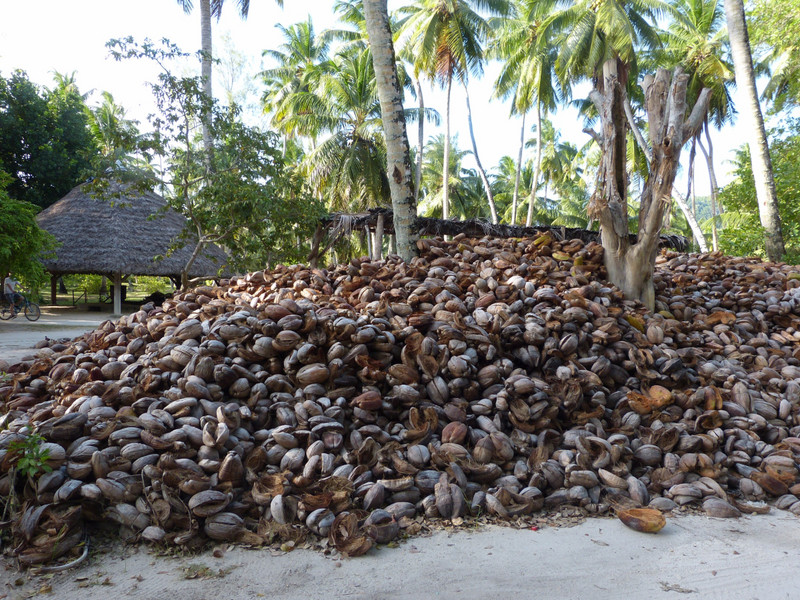 Coconut heap