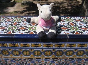 Cricket enjoys the pretty tiles of Mendoza 