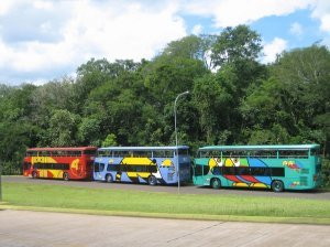 Cute animal buses of Iguazu Falls National Park