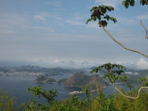 Views of Brazil