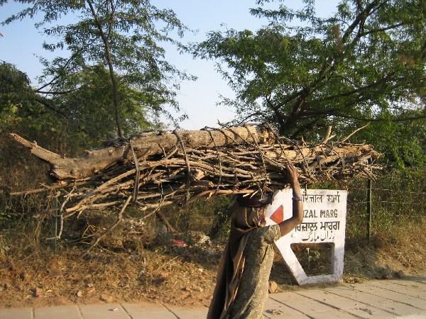 No load is too large for the strong women of India