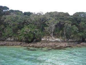 Motorua Island 