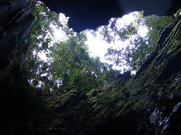 Roof light in the Cave of the Winds, Mulu National Park