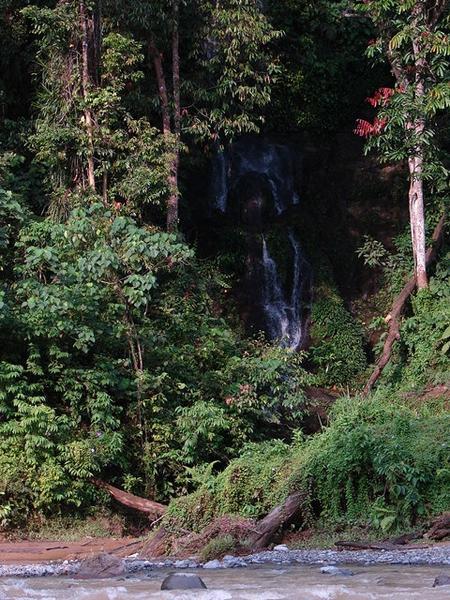 Gungung Leuser National Park, Bukit Lawang