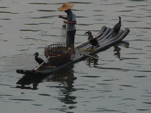 Fishing on the Li River near Yangshuo