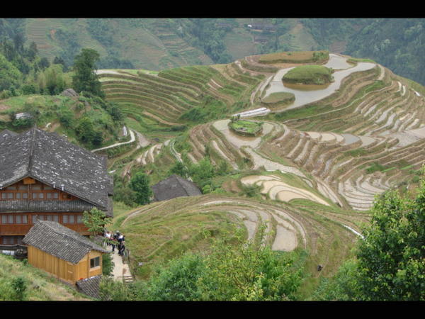 Dragon's Backbone Rice Terraces at the village of Pin'an