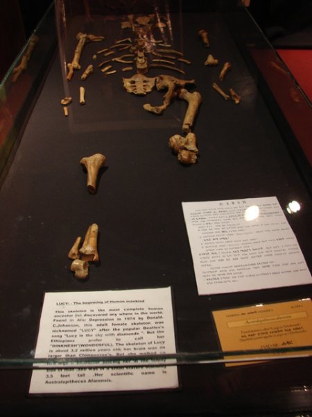 Lucy, National Museum, Addis Ababa