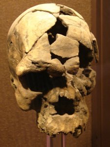 Homo Sapiens Adaltu - 160.000 years old - National Museum, Addis Ababa
