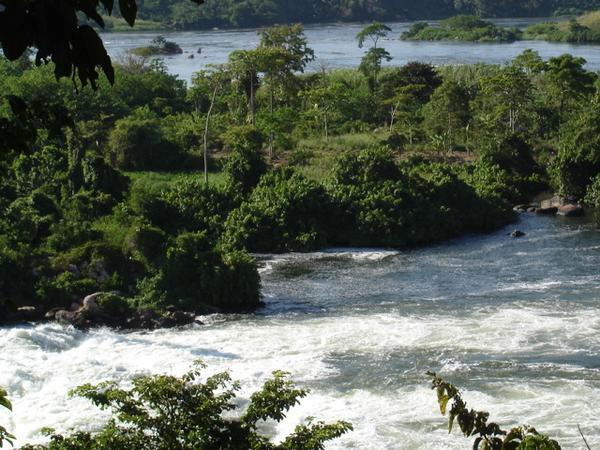 View of the Nile from the last stop on the rafting trip