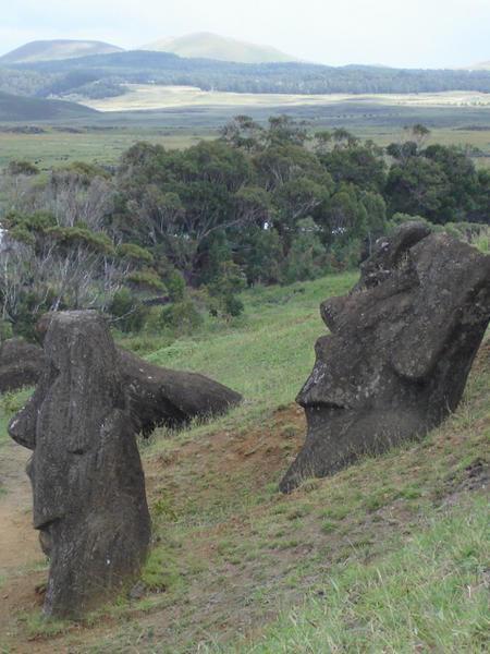 Standing Moai at Rano Raraku.