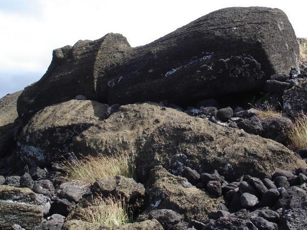 Fallen Moai at  Ahu Akahanga