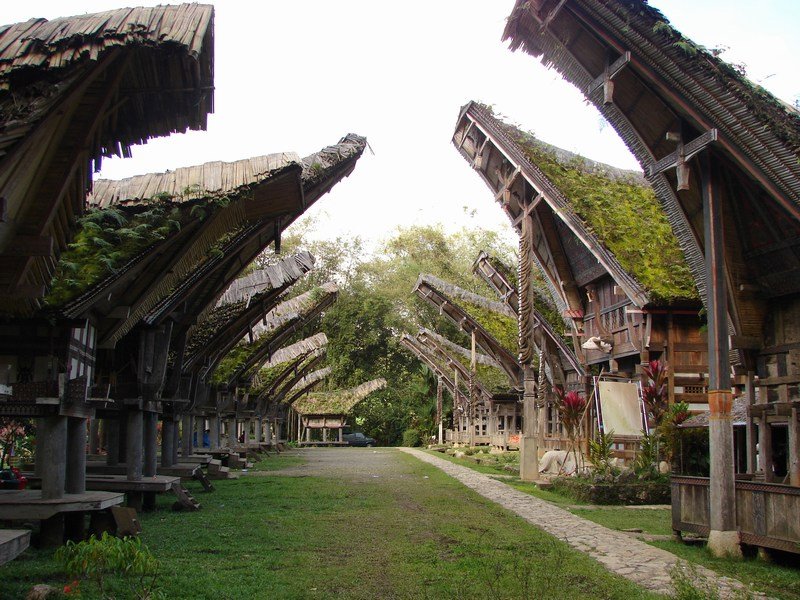 Tongkonan Houses and Rice Barns