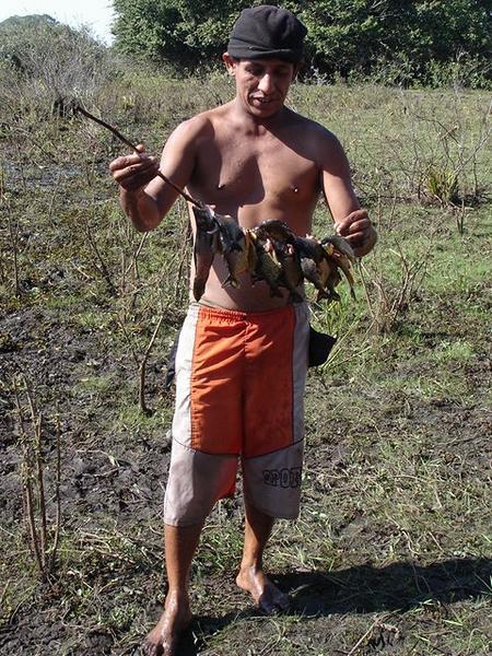 The guide with our catch of Piranas in the Pantanal