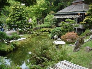 Japanese Tea Garden, San Fransico