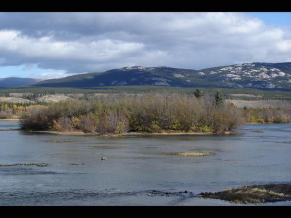 River Yukon, Whitehorse
