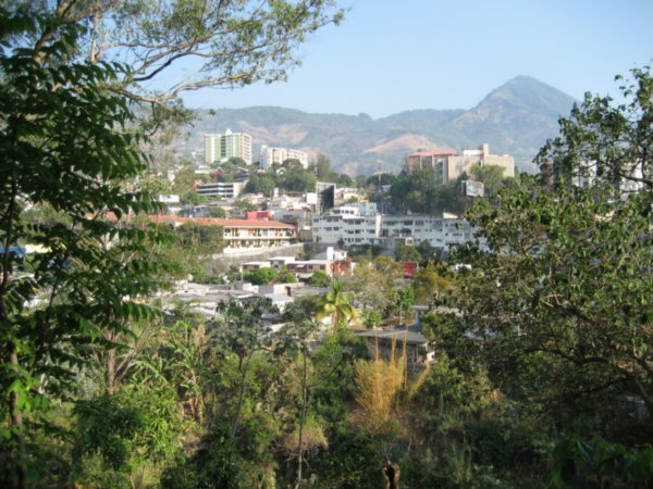 View of the city from the park