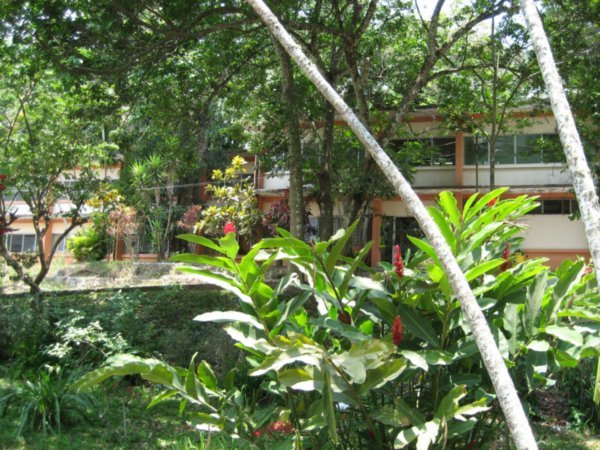 Hospital in the jungle