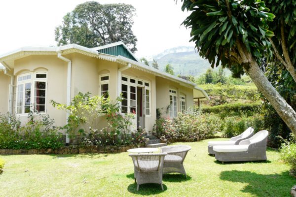 Garden and suite at Tea Trails